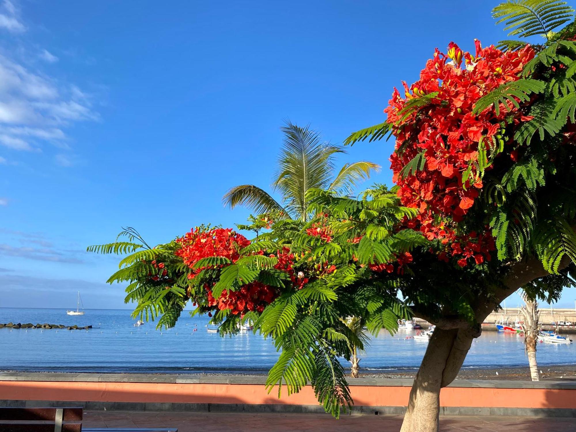 Casa Antonio - Apartamento Sol Playa de San Juan  Kültér fotó