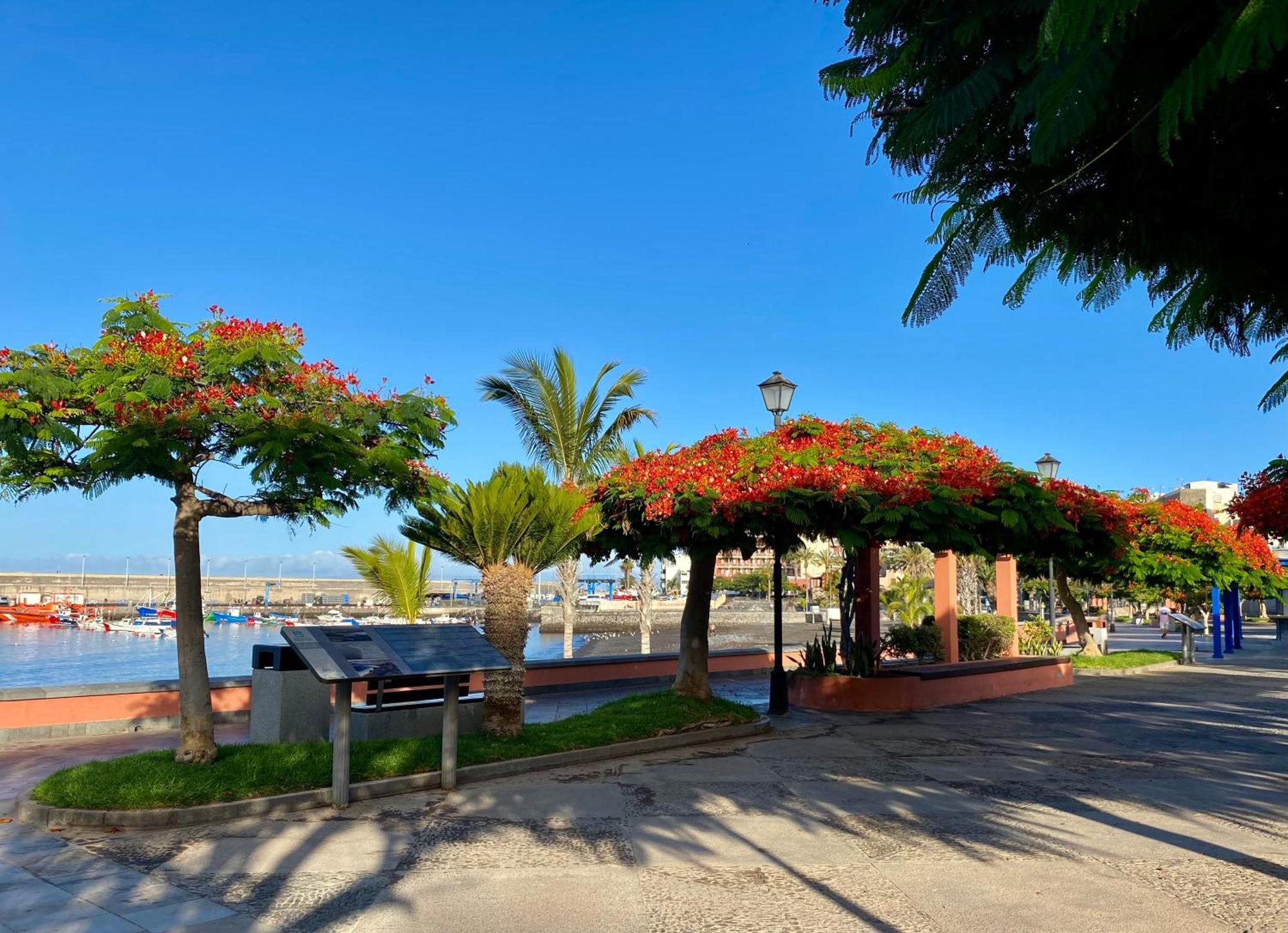 Casa Antonio - Apartamento Sol Playa de San Juan  Kültér fotó